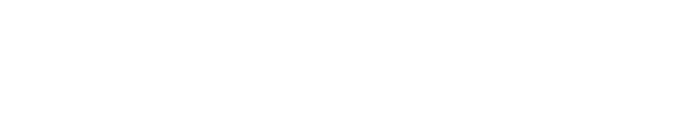 logo_light_intervisser
